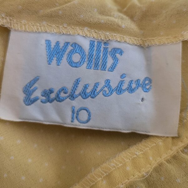 Vintage Sheer Midi Dress Wallis Exclusive - Image 9